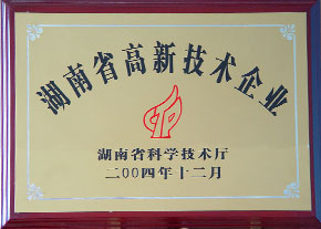 2004年度湖南省高新技术企业2.JPG